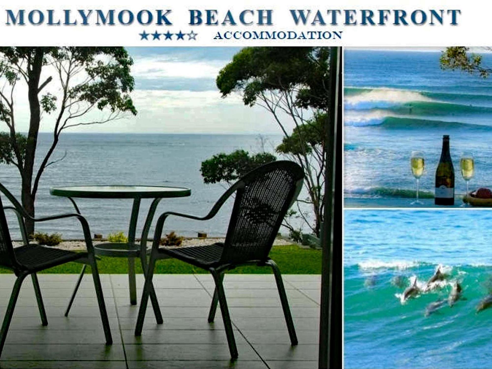 Mollymook Beach Waterfront ภายนอก รูปภาพ